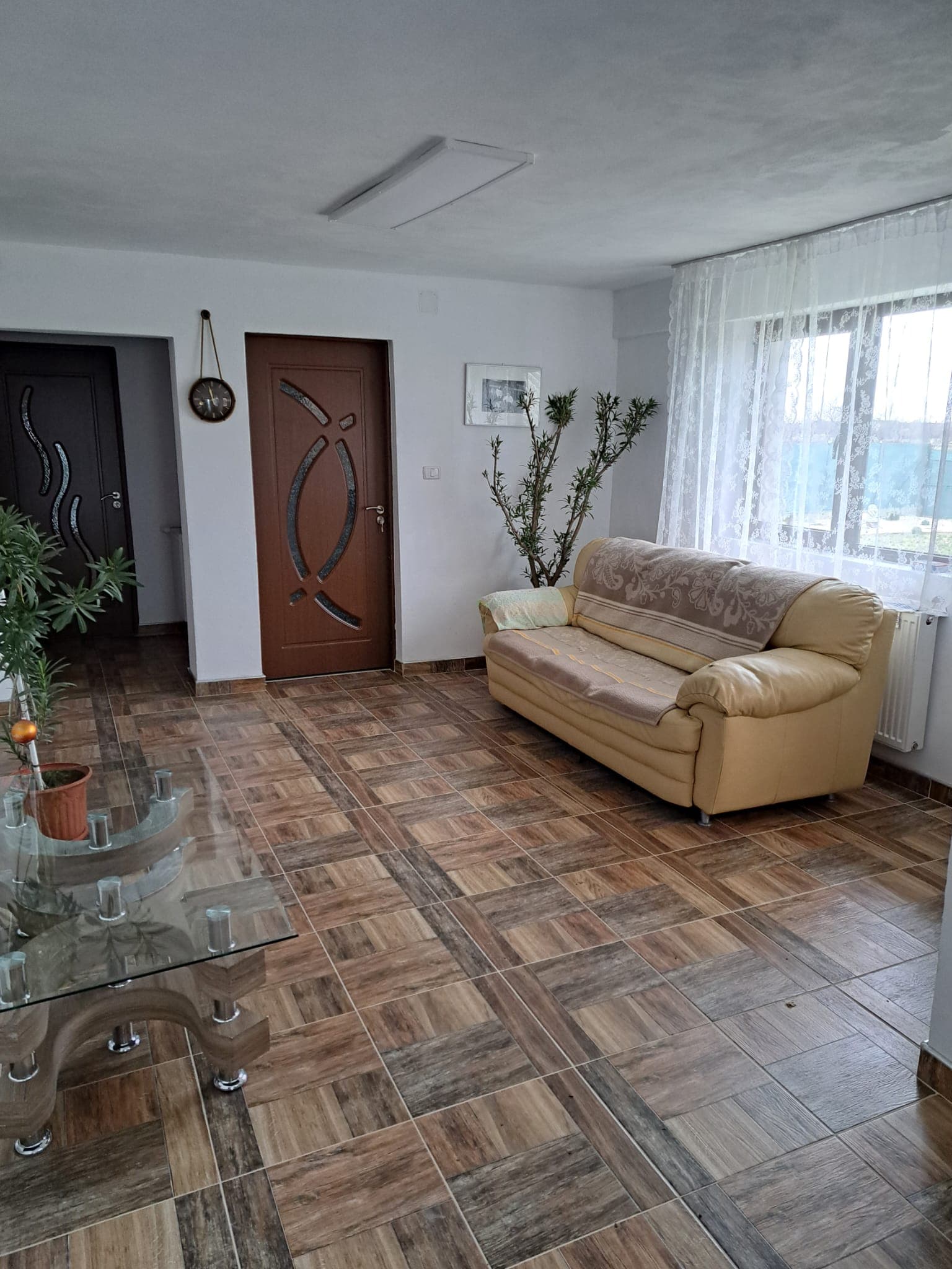 Hol, zona comună